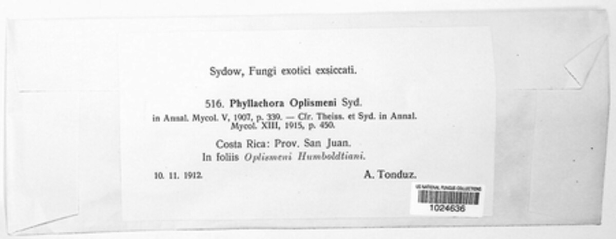 Phyllachora setariicola image